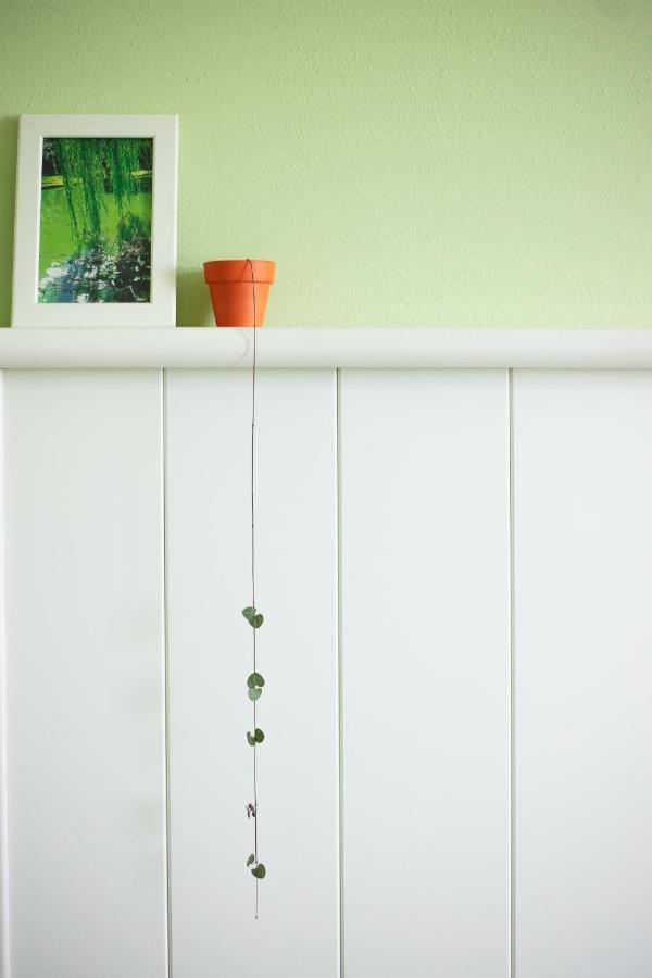 La Casa Vecchia B&B Camisano Vicentino ภายนอก รูปภาพ