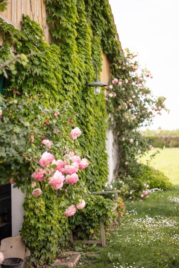 La Casa Vecchia B&B Camisano Vicentino ภายนอก รูปภาพ