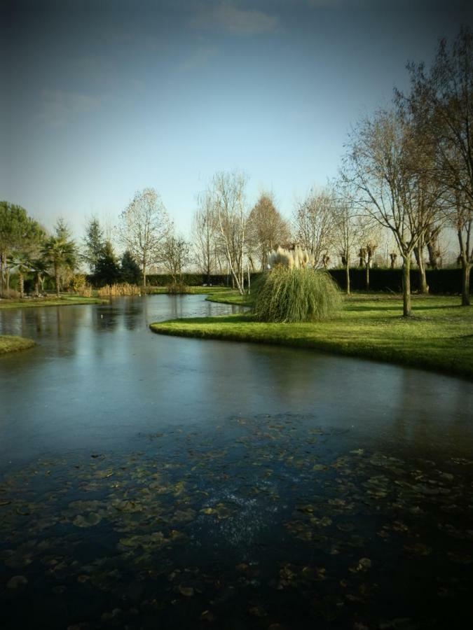 La Casa Vecchia B&B Camisano Vicentino ภายนอก รูปภาพ
