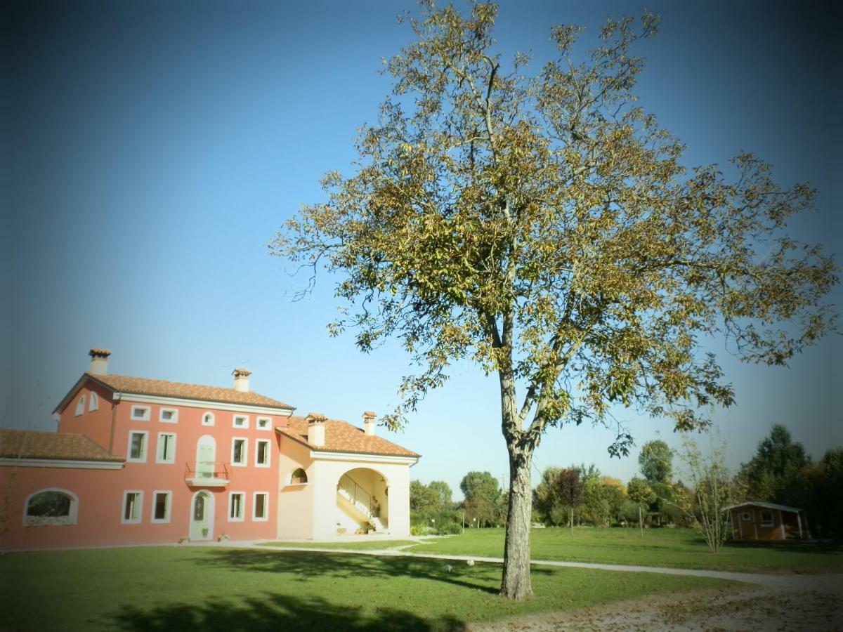 La Casa Vecchia B&B Camisano Vicentino ภายนอก รูปภาพ