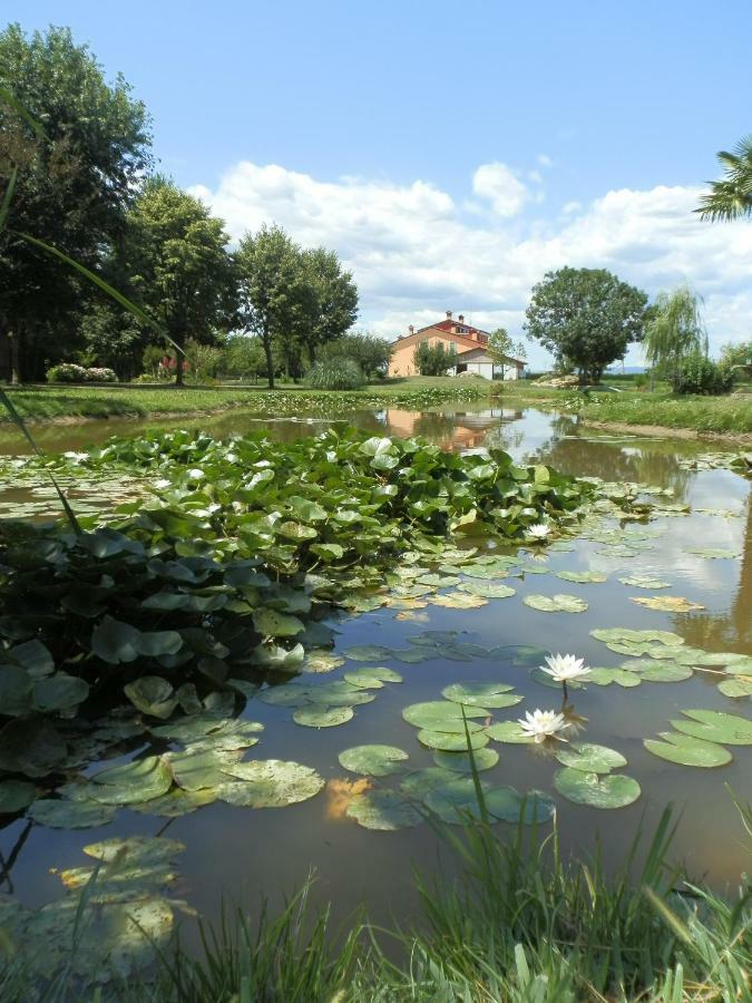 La Casa Vecchia B&B Camisano Vicentino ภายนอก รูปภาพ